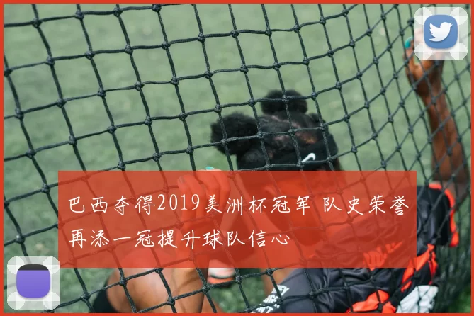 巴西夺得2019美洲杯冠军 队史荣誉再添一冠提升球队信心