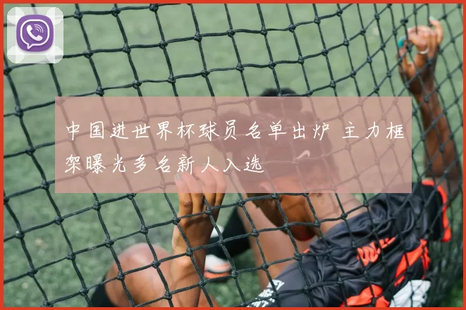 中国进世界杯球员名单出炉 主力框架曝光多名新人入选