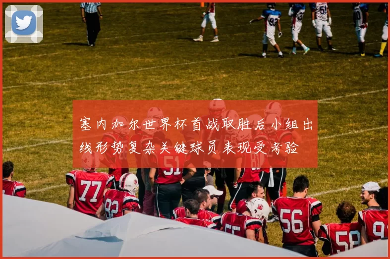 塞内加尔世界杯首战取胜后小组出线形势复杂关键球员表现受考验