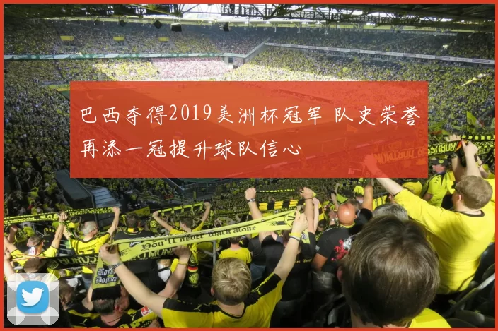 巴西夺得2019美洲杯冠军 队史荣誉再添一冠提升球队信心