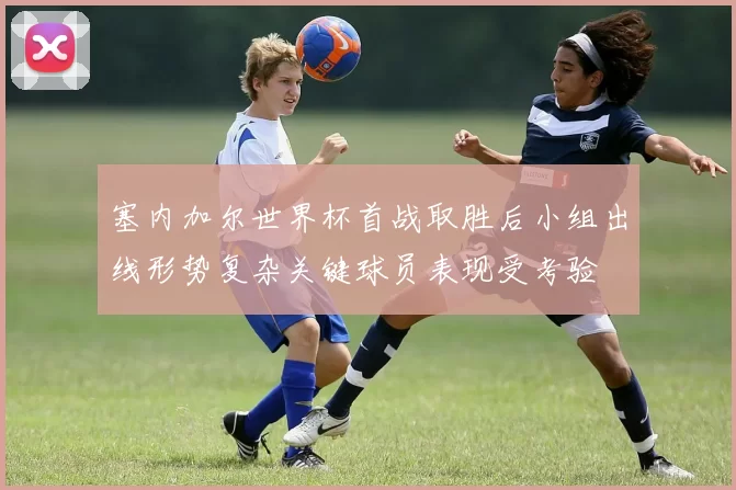 塞内加尔世界杯首战取胜后小组出线形势复杂关键球员表现受考验