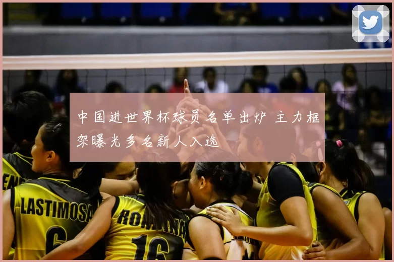 中国进世界杯球员名单出炉 主力框架曝光多名新人入选